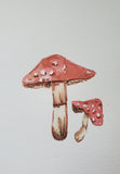 Nature's Notebook Watercolor Class