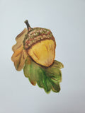 Nature's Notebook Watercolor Class