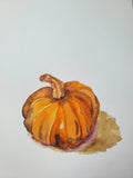 Nature's Notebook Watercolor Class