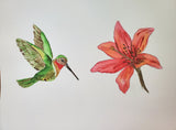 Nature's Notebook Watercolor Class
