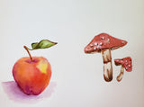 Nature's Notebook Watercolor Class