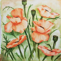 Watercolor Painting Class Poppy Bouquet