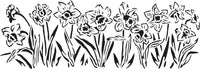 Stencil 16½x6 Daffodils